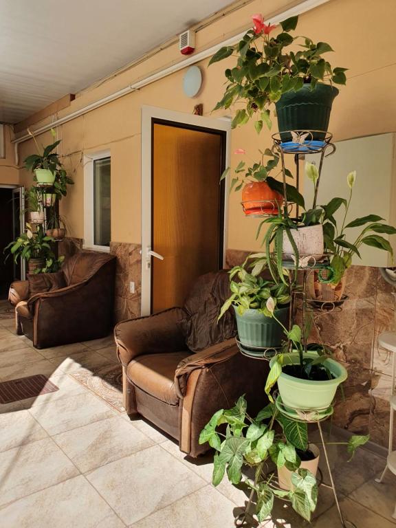 Guest House ViZhen photo