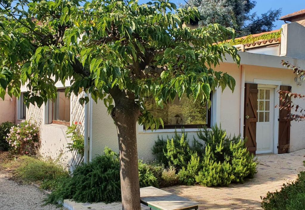 Haus mit Garten über der Bucht von Cannes - 2