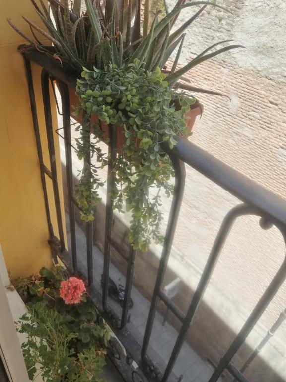 Apartamento en el Rastro - 4