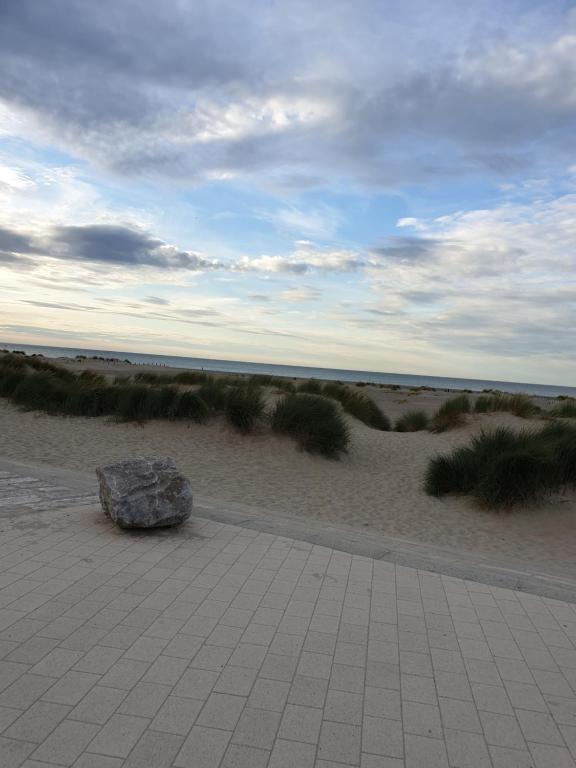 appartement malo les bains plage - 1