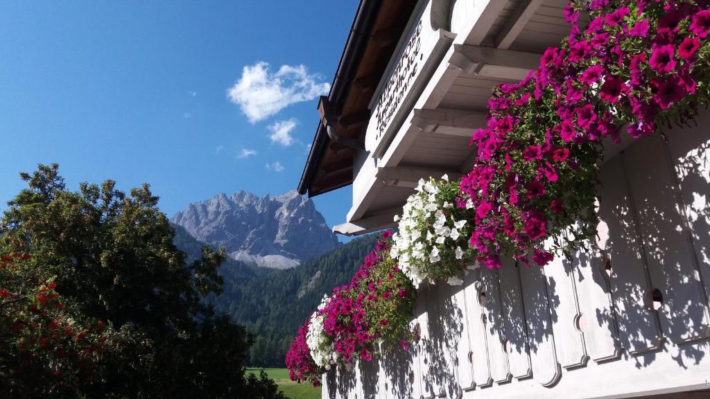 Residence Alpenrose photo