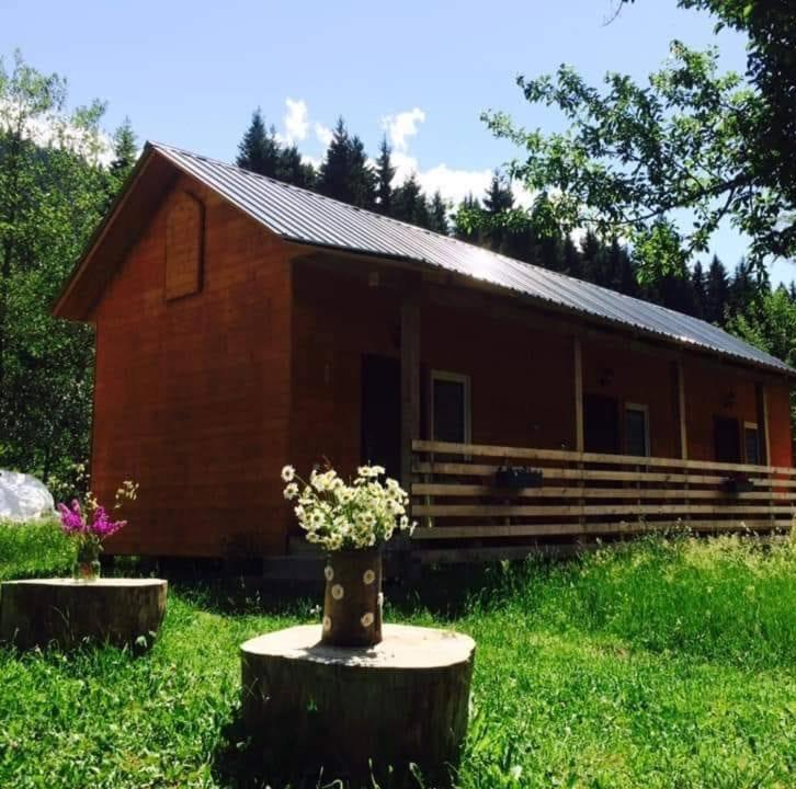 Cottage Shgedi photo