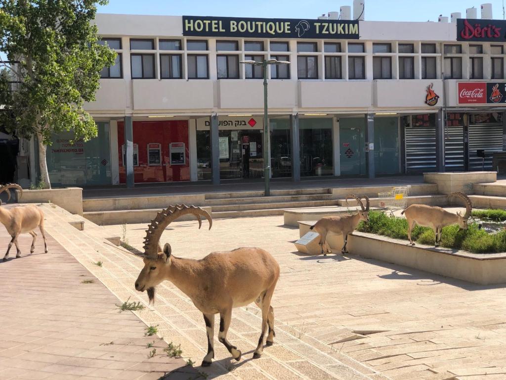 Boutique Hotel by Tzukim photo