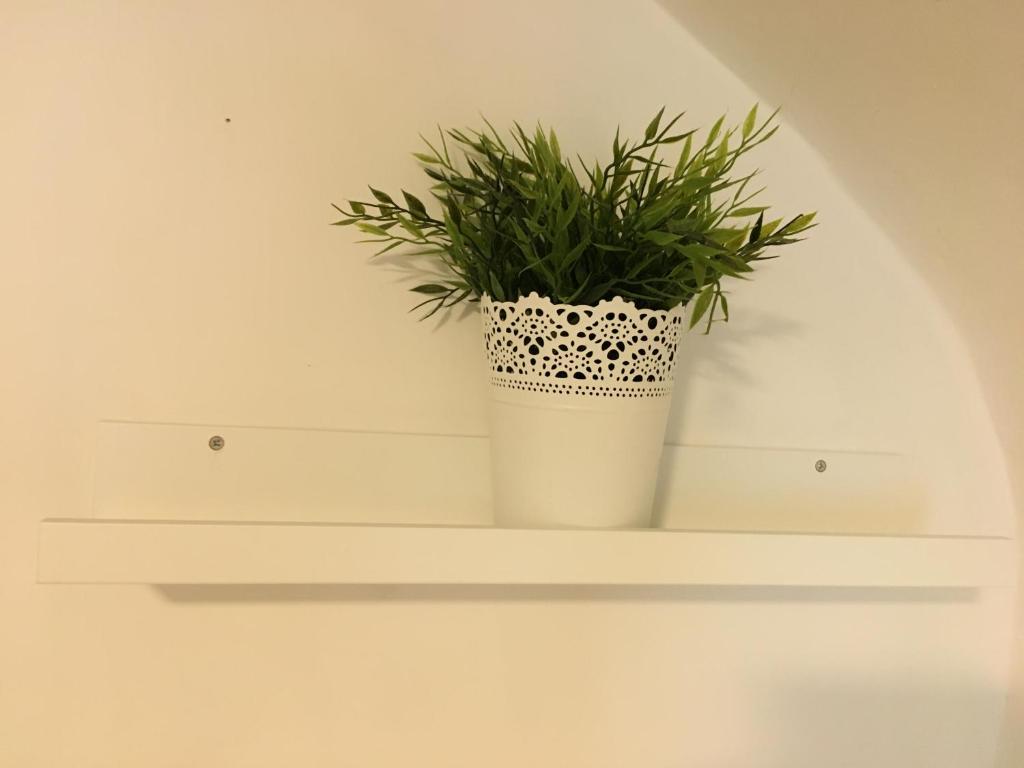 Mini Flat WiFi photo