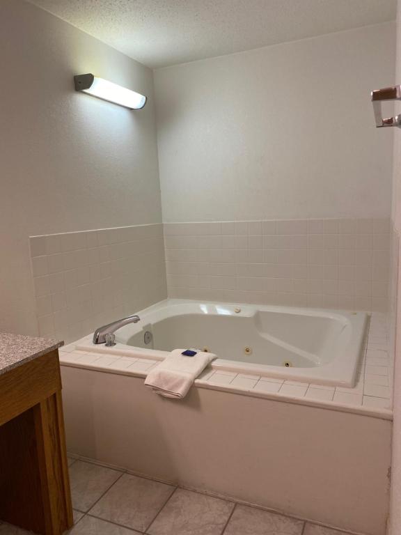 アメリカズ ベスト バリュー イン シャンペーン (Americas Best Value Inn Champaign) シャワー