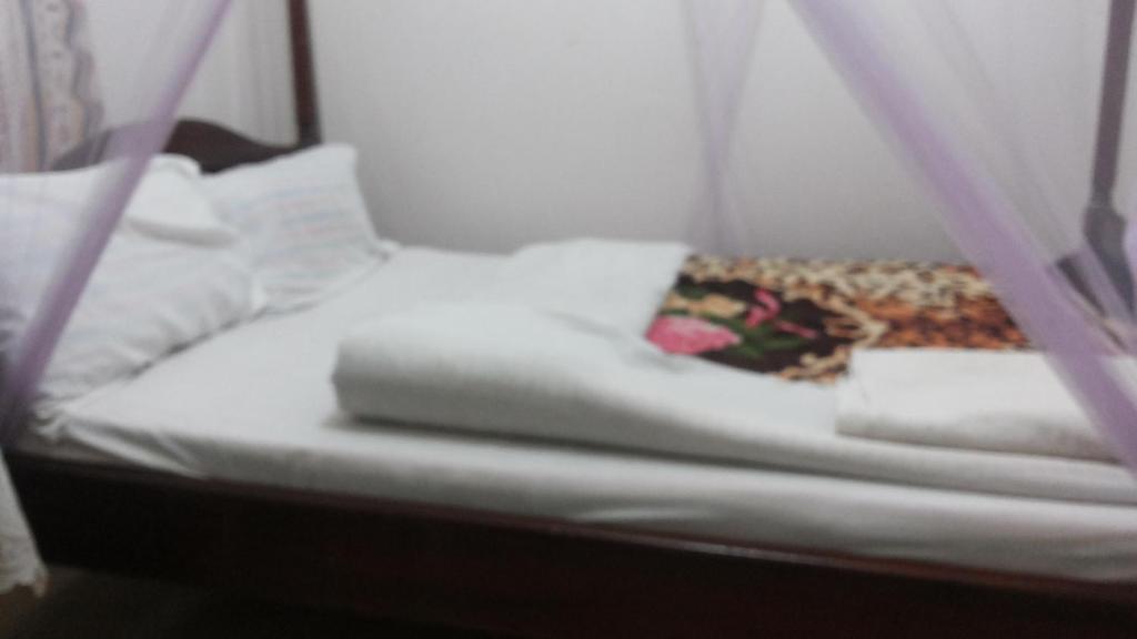 Hotel Delambiance photo