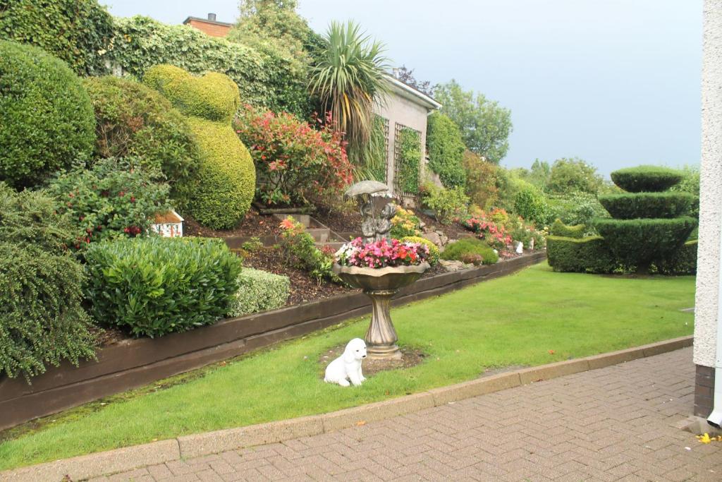 The Meadows B&B photo