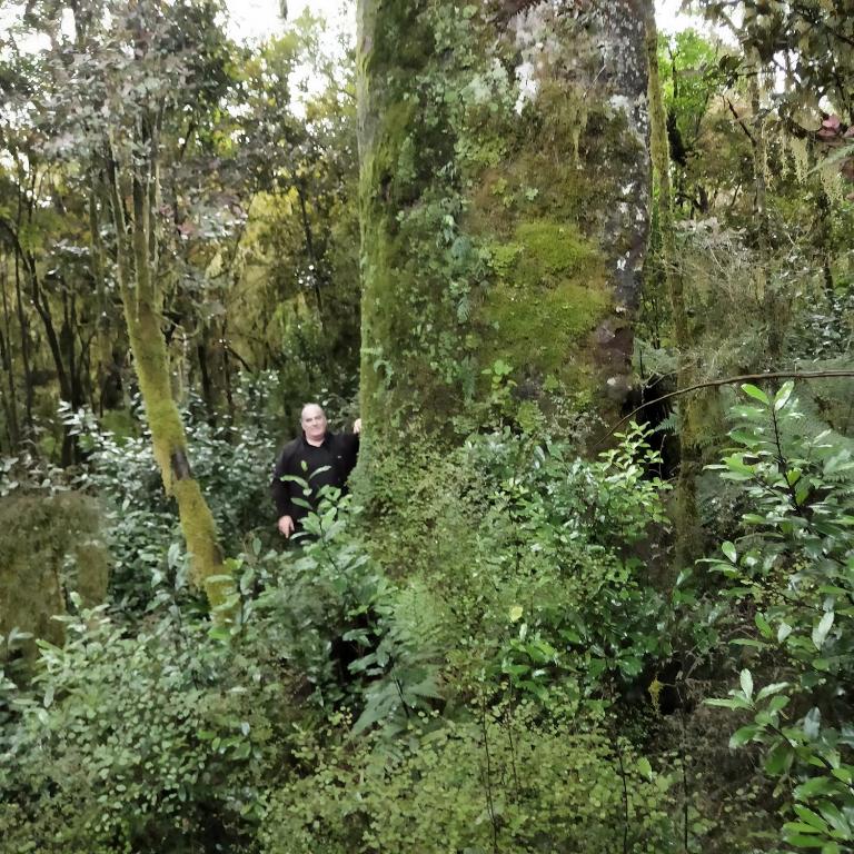 Stopforths Motel — Hotel in Hokitika