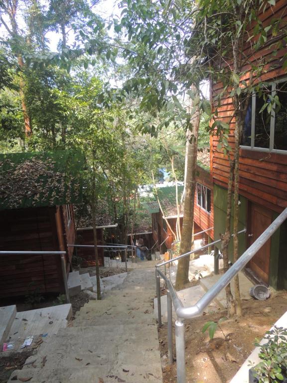 Utan Teluk Nipah photo