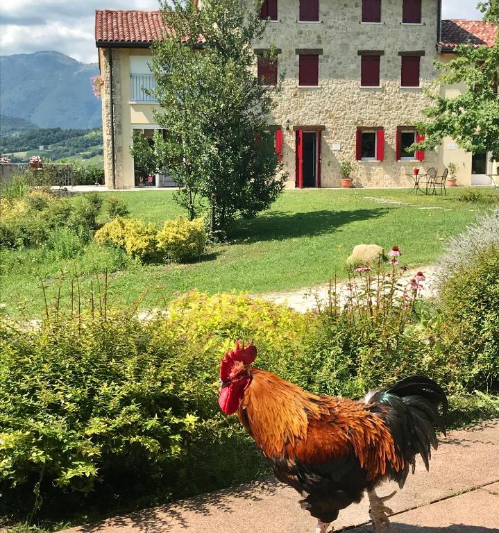 Agriturismo Lemire photo