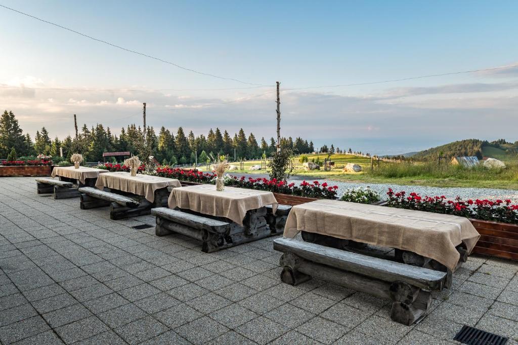 Pensiunea Turistica Valari photo