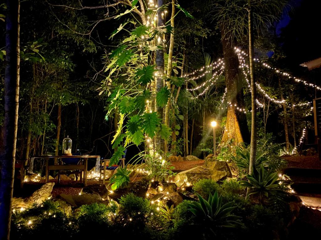 Cairns Rainforest Retreat photo