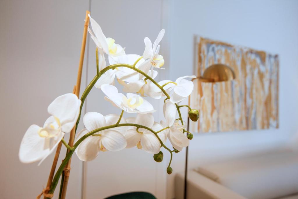 Tirso Suite - 5
