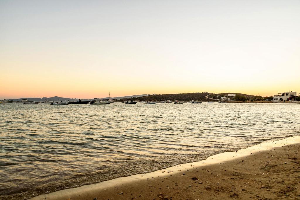 Acoya Suites Paros photo