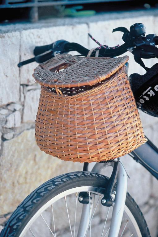 Sports and activities