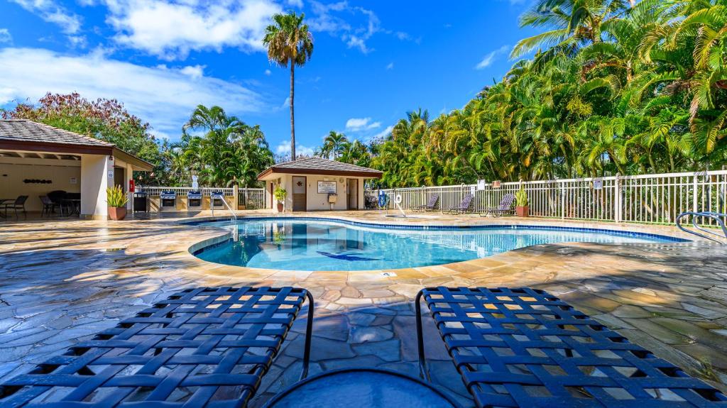 スイミングプール