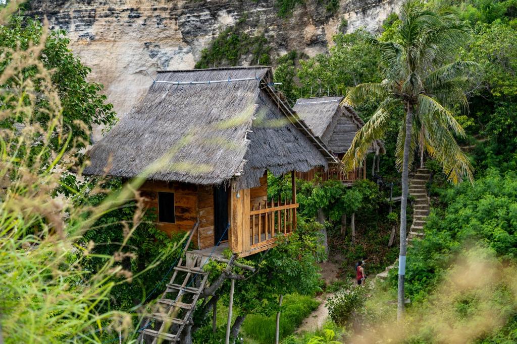 アクティビティ