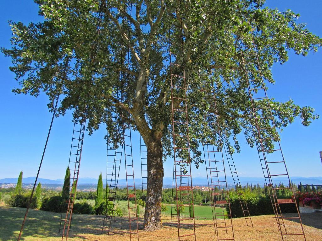 LA RIMESSA EXPERIENCE-Dream Holiday Home - 4