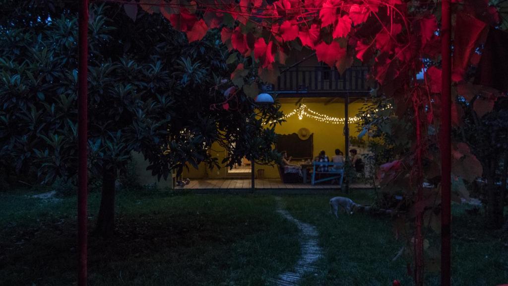 Karma Hostel photo
