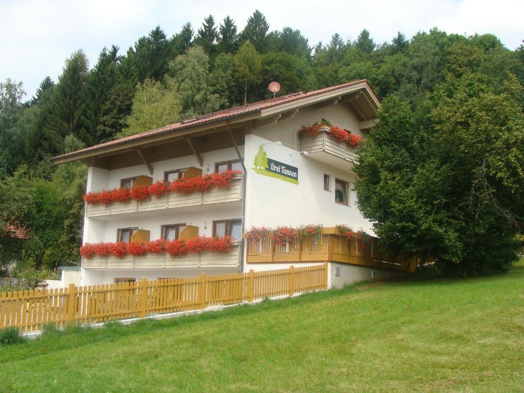 Drei Tannen - 5