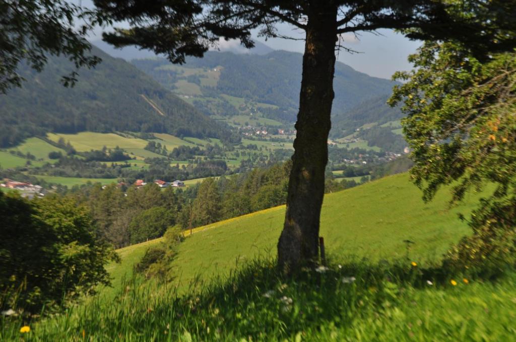 Fruhstuckspension Bischof i d Wiesen - 5