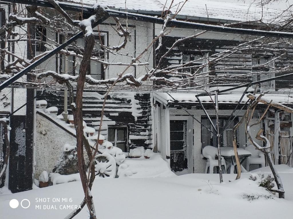 Papanovata House photo