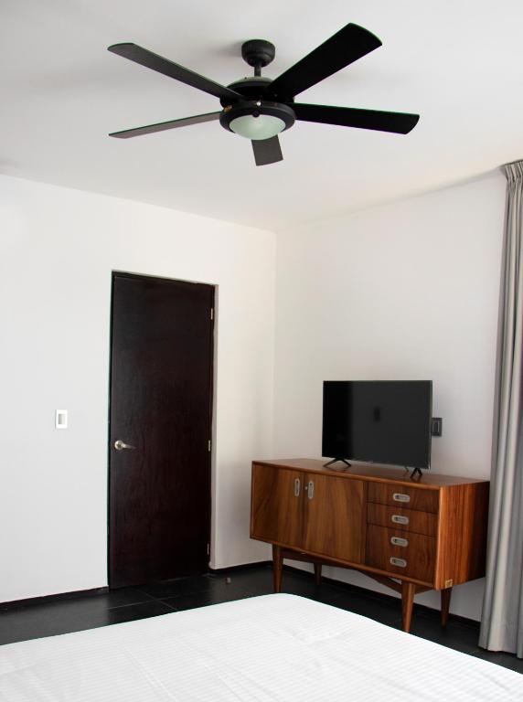 Sole Suites photo