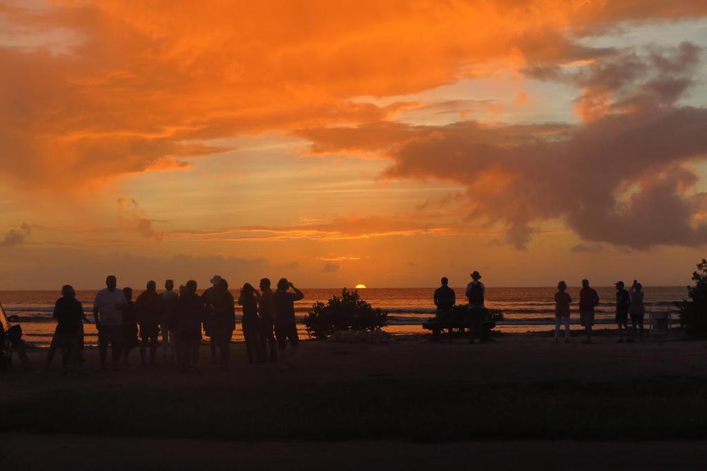 Aruba Sunset Beach Studios photo