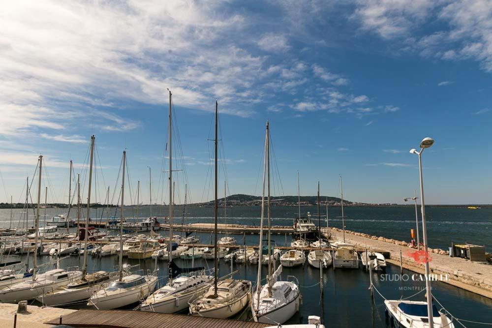 A La Voile Blanche photo