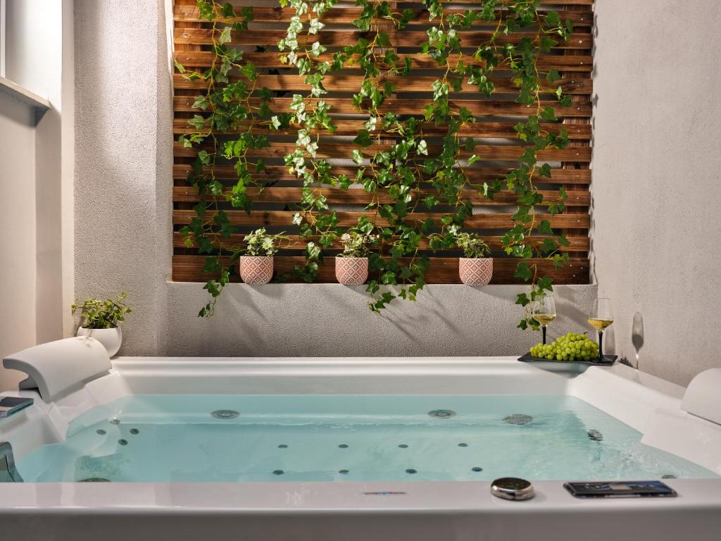Pothos Suites photo