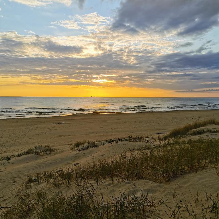 Palanga Apartments Near Baltic Sea photo