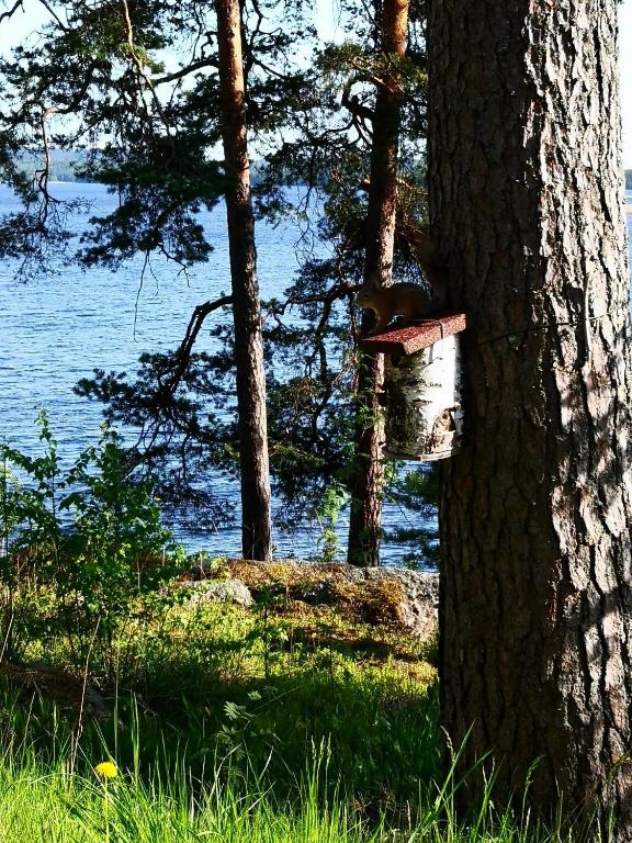 Club House Hotelli Kaipolan Ranta — Hotel in Jamsa