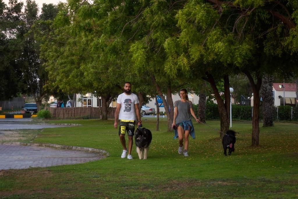 Surrounding environment