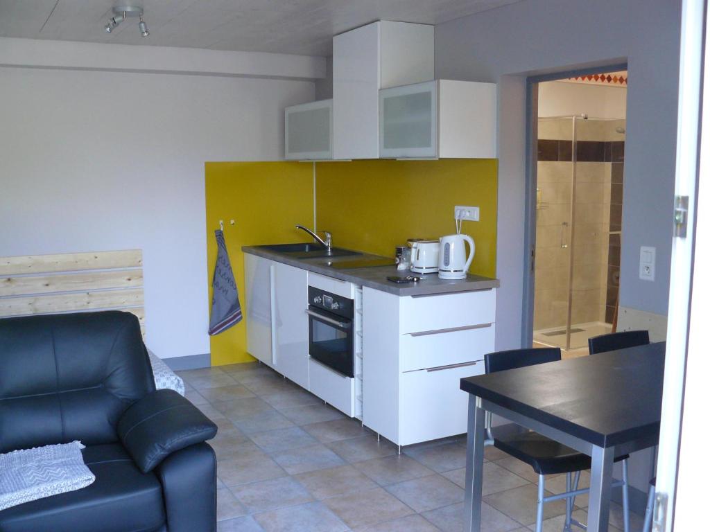 STUDIO ENTRE SAVINES ET EMBRUN PRES DU LAC DE SERREPONçON - 1