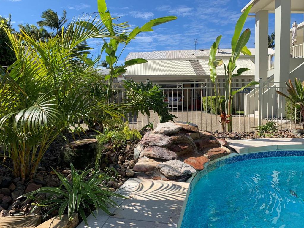 Noosa River Palms photo