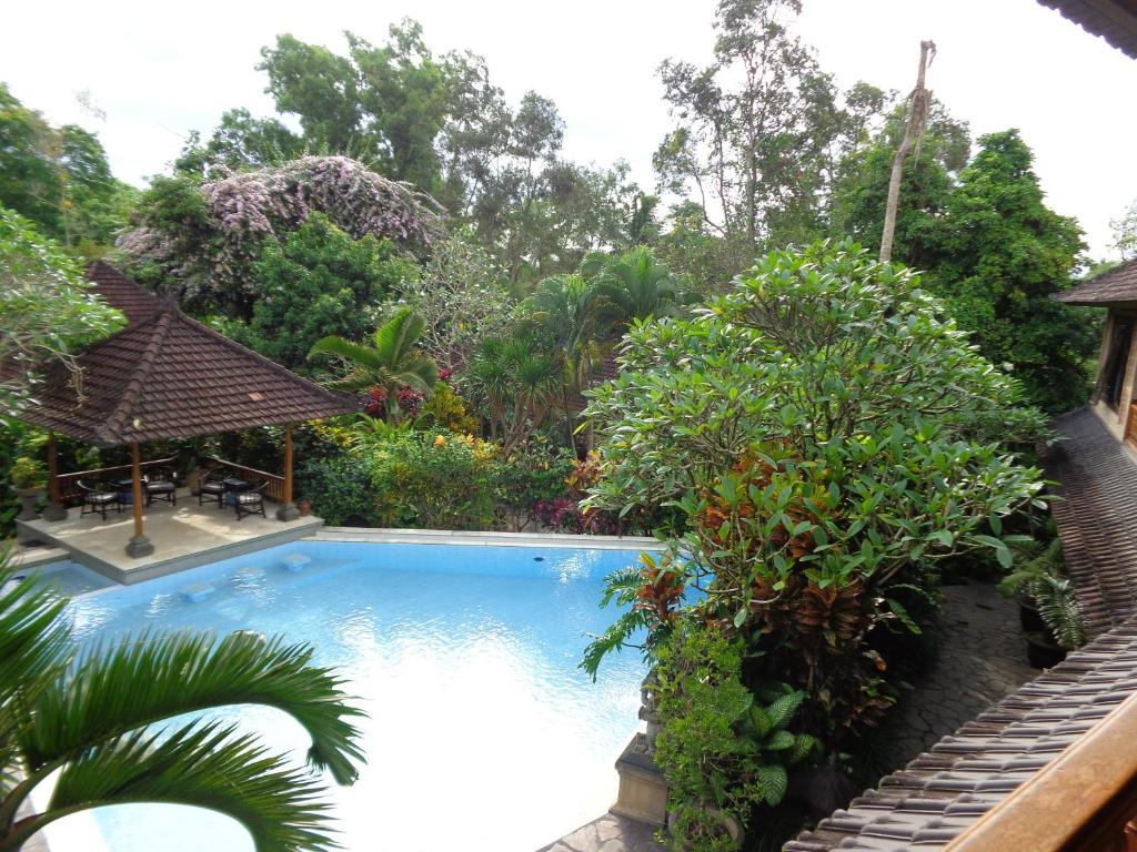 Klub Kokos Bungalows photo