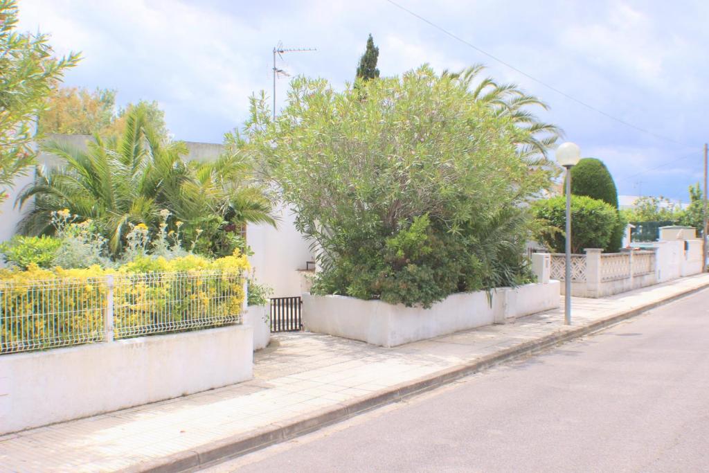 Cala d'Ors - 5