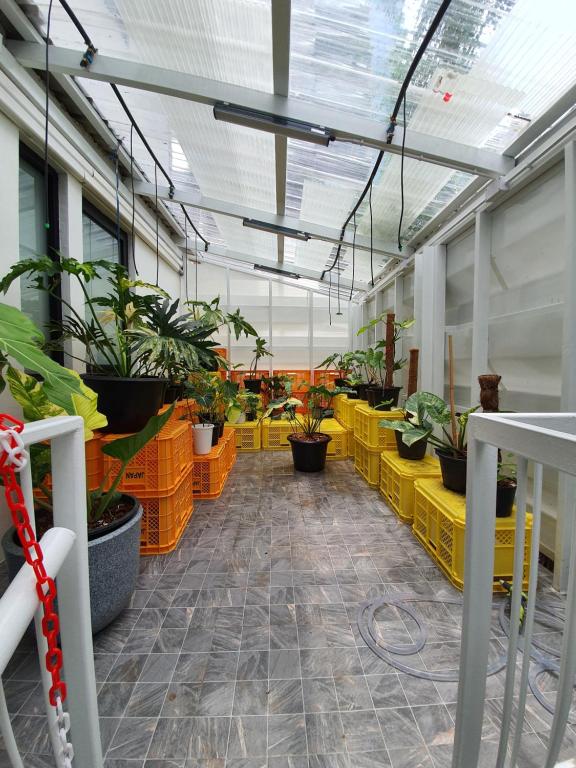 バルコニー/テラス