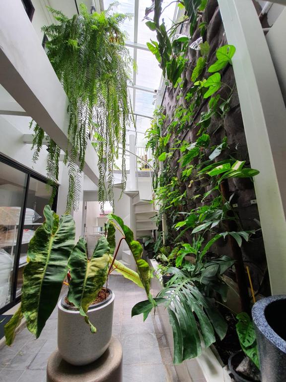 ルームピーニ (Roompini) ガーデン