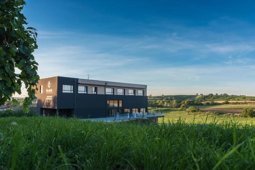 Boutique Hotel Vinařství Škrobák，位于捷伊科维采的酒店