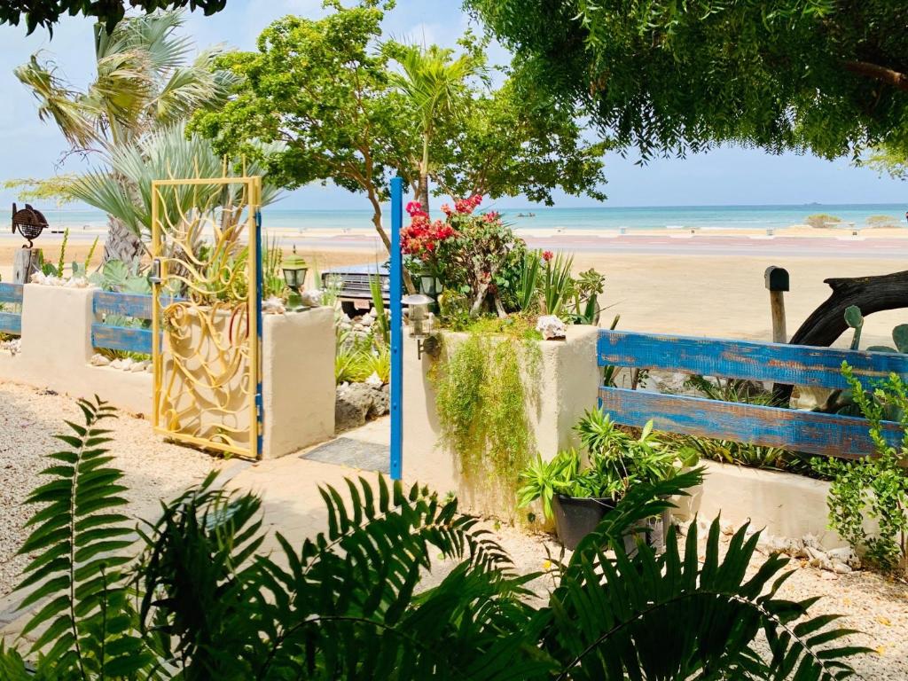 Aruba Sunset Beach Studios photo