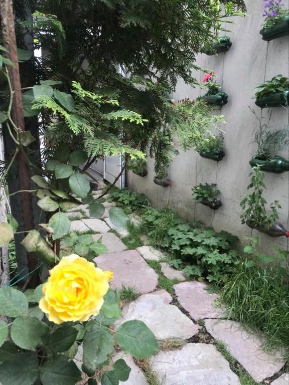 Hostel Pop Bogomil — Hotel in Sofia