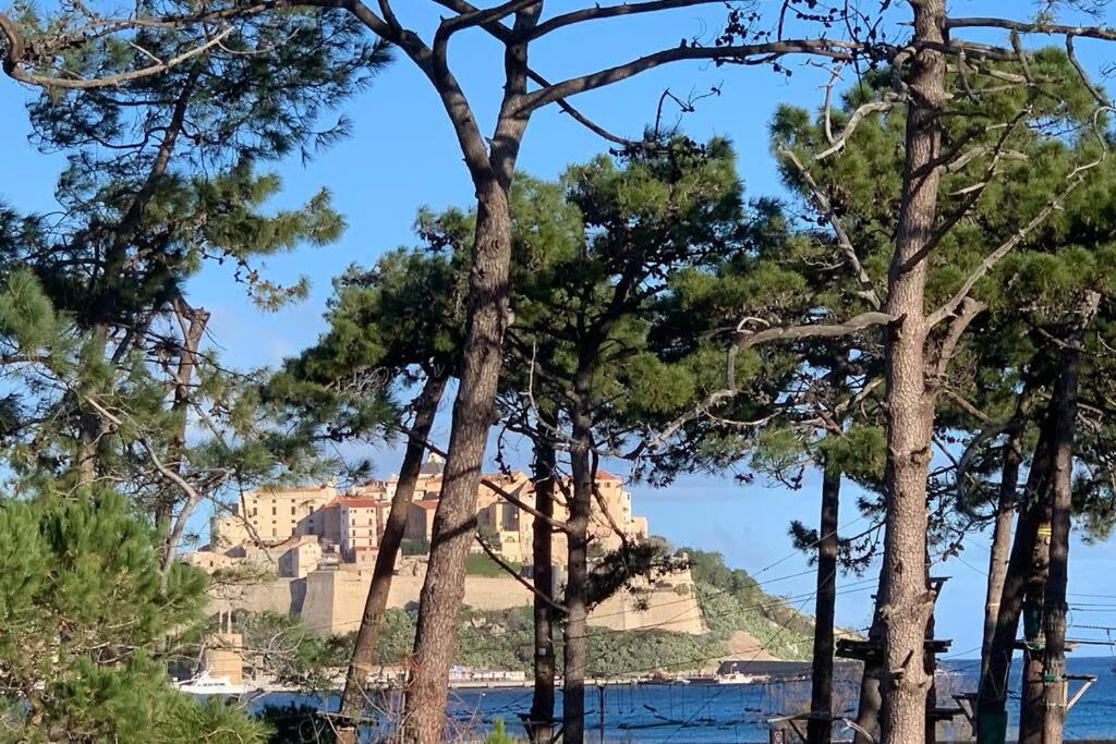Appartement neuf sur Plage de Calvi Vue Mer - 1