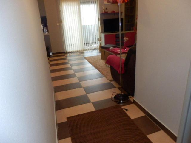Apartments Saric photo