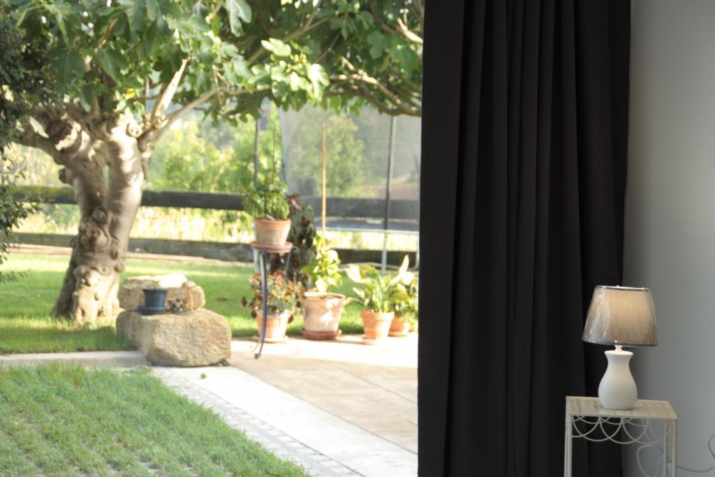 La Casuca de Mamina  ガーデン