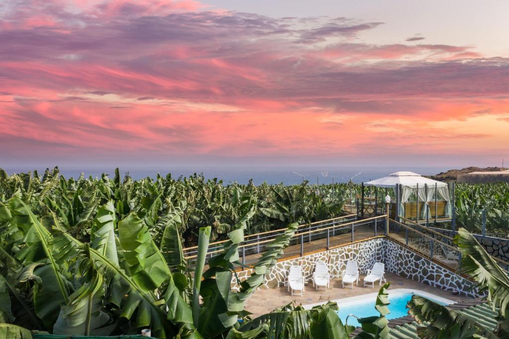 Hacienda La Dehesa (Only Adults) photo