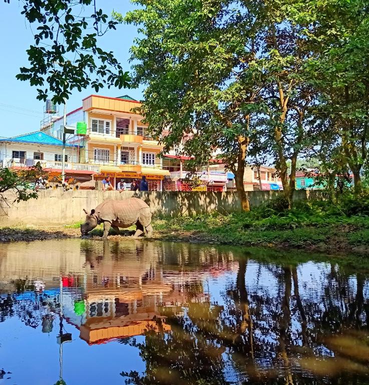 Hotel Rhinoceros-Homestay photo