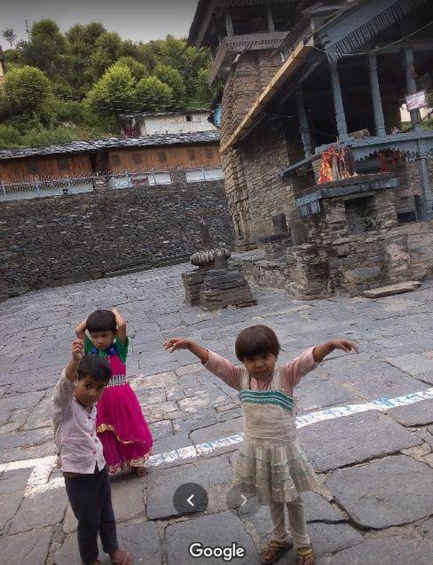 Priyanshu Lodge photo