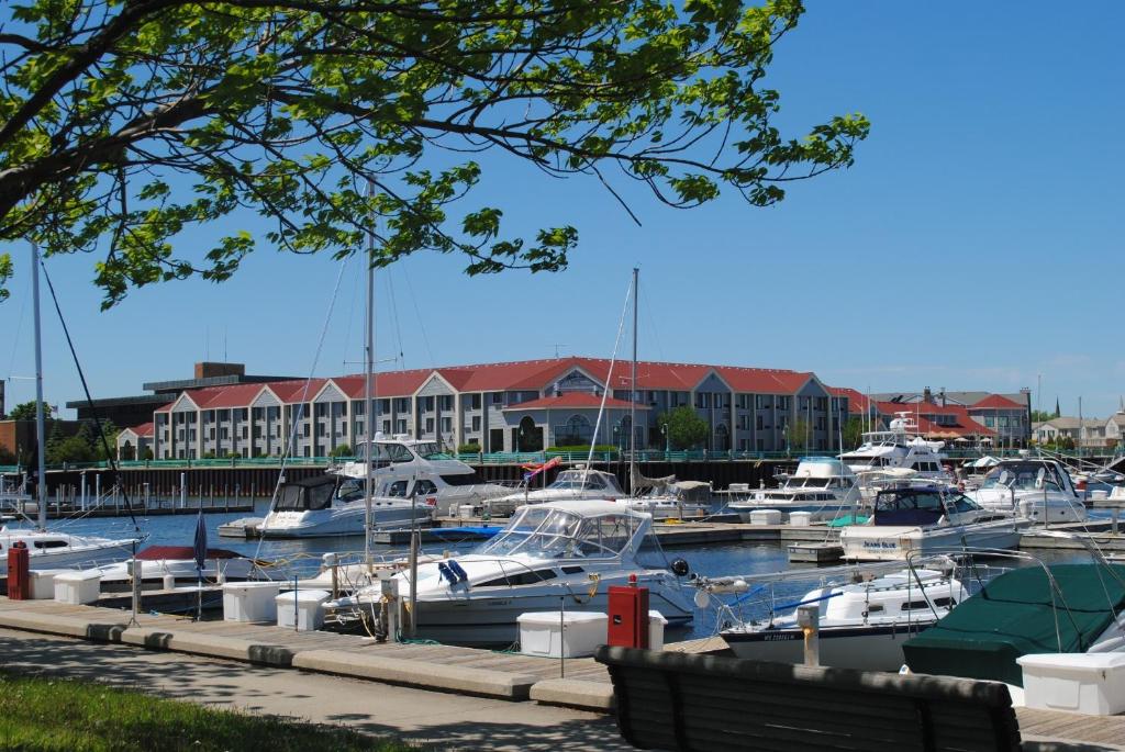 Delta Racine Architect Hotel & Conference Center, WI 100 reviews