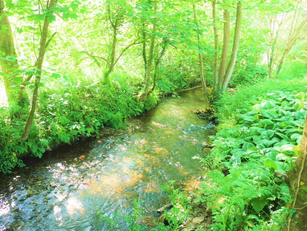 Surrounding environment